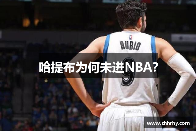 哈提布为何未进NBA？