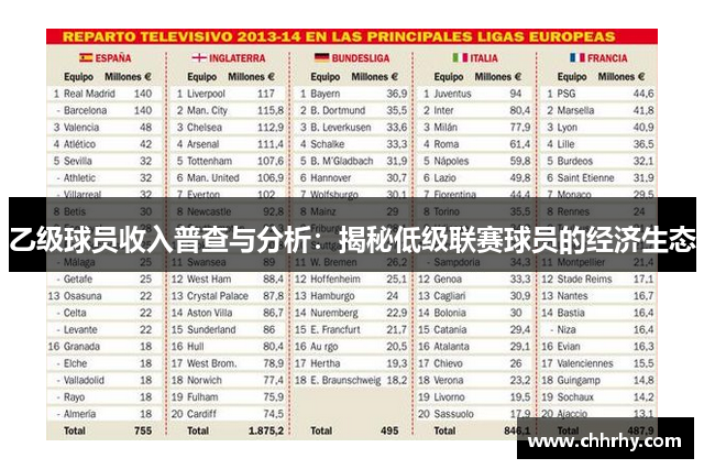 乙级球员收入普查与分析：揭秘低级联赛球员的经济生态